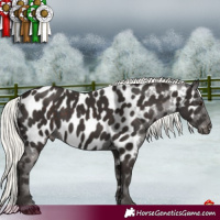 Horse Color:Liver Chestnut Mushroom Near Leopard 
