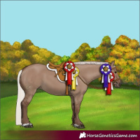 Horse Color:Silver Grullo 