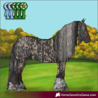 Horse Color:White Spotted Silver Brown Dun Tobiano  and White Spotted Black Tobiano 