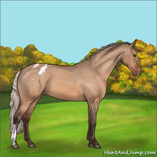 Horse Color:Silver Brown Dun Varnish