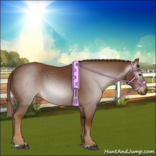Horse Color:Gray Chestnut 