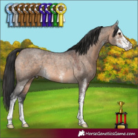 Horse Color:Brown Roan Dun Sabino