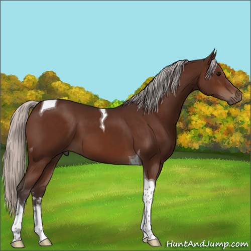 Horse Color:Silver Brown Sabino Tobiano 
