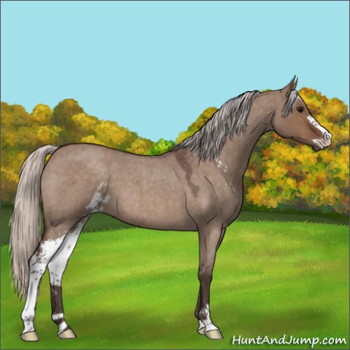 Horse Color:Silver Brown Roan Dun Sabino 