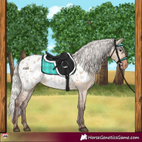 Horse Color:Silver Brown Dun Near Leopard