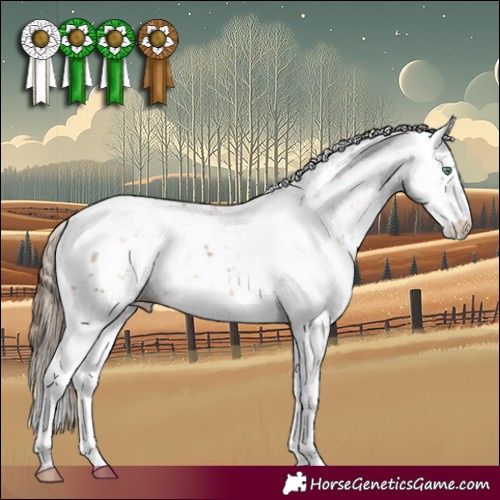 Horse Color:Black Pearl Sabino 