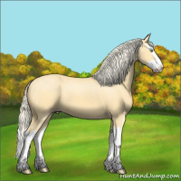 Horse Color:Gold Cream Champagne Splash 