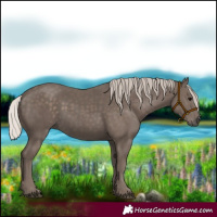 Horse Color:Silver Black 