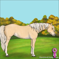 Horse Color:Palomino Roan 