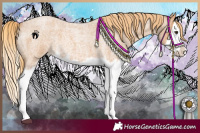 Horse Color:Red Roan Splash Rabicano