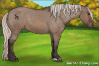 Horse Color:Silver Brown Dun Varnish 