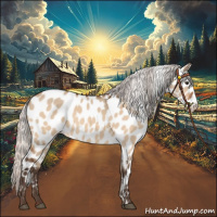 Horse Color:Silver Brown Dun Leopard 