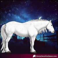 Horse Color:Silver Black Sabino 