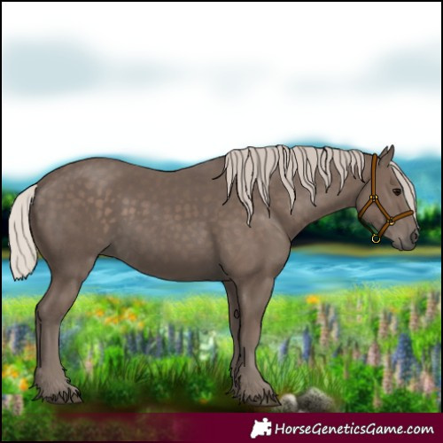 Horse Color:Silver Black 