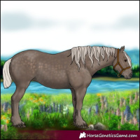 Horse Color:Silver Black 