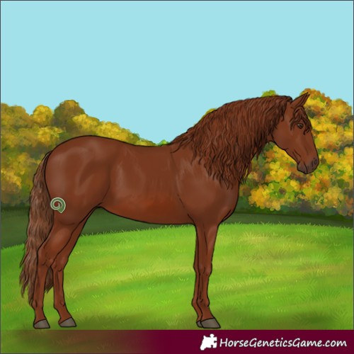 Horse Color:Chestnut 