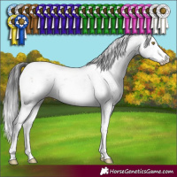 Horse Color:Brown Sabino