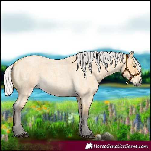Horse Color:Silver Buckskin Roan 