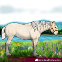 Horse Color:Silver Buckskin Roan 