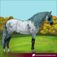 Horse Color:ERROR: UNKNOWN ANOMALY