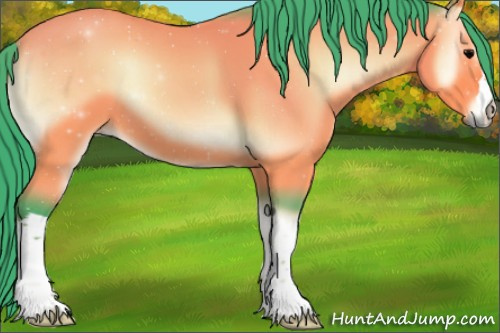 Horse Color:Watercolor Bay Onyx 