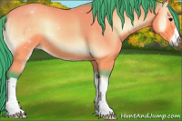 Horse Color:Watercolor Bay Onyx 