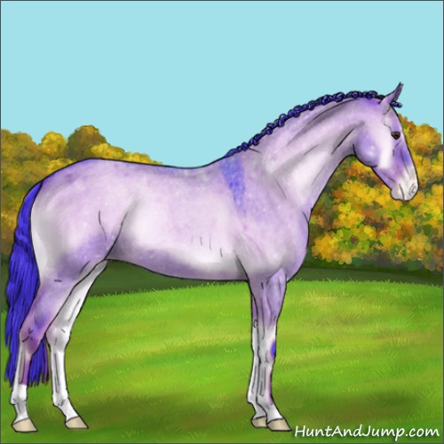 Horse Color:Watercolor Liver Red Dun Roan Onyx Appaloosa 