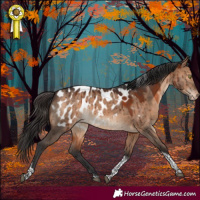 Horse Color:Brown Dun Sabino Tobiano Near Leopard Brindle 