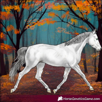 Horse Color:Gray Buckskin Dun Sabino