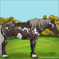 Horse Color:White Spotted Silver Brown 