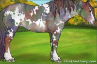 Horse Color:Nacre White Spotted Liver Chestnut Sabino 