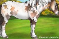 Horse Color:White Spotted Liver Red Onyx 