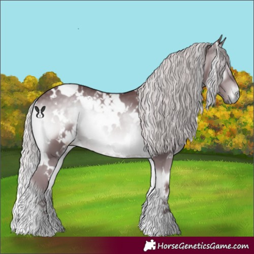 Horse Color:White Spotted Chocolate Silver Blue Onyx Chinchilla 