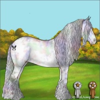 Horse Color:Nacre White Spotted Chocolate Silver Brown Chinchilla Ice Onyx 