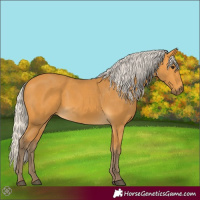 Horse Color:Silver Buckskin