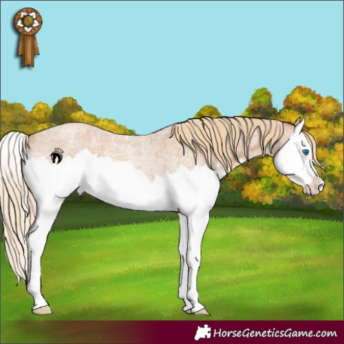 Horse Color:Red Roan Splash Rabicano 