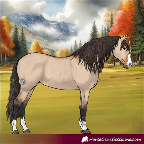 Horse Color:Bay Dun