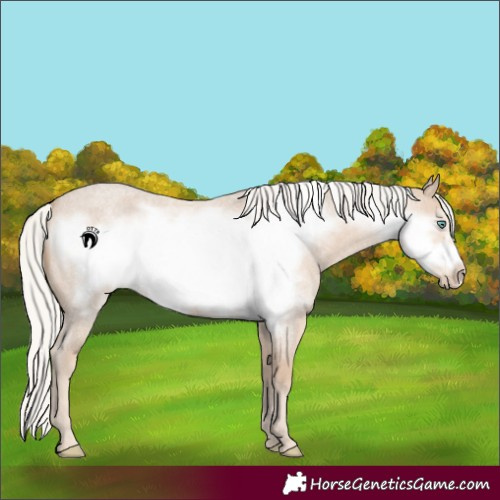 Horse Color:Silver Smoky Creme Roan Frame 