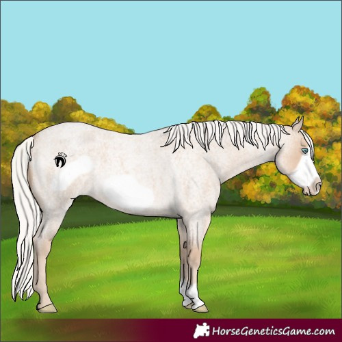 Horse Color:Silver Smoky Creme Roan Frame 
