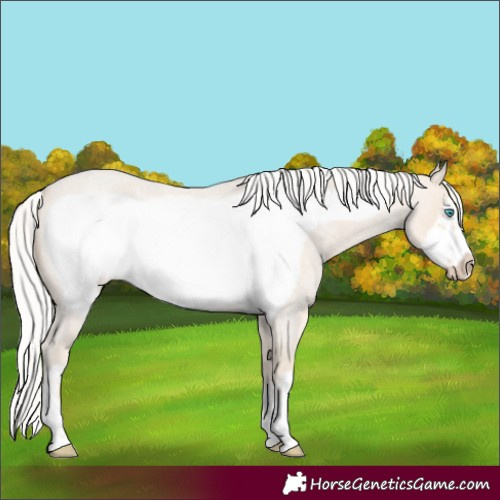 Horse Color:Silver Smoky Creme Roan Frame 