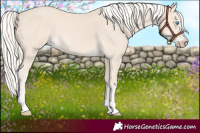 Horse Color:Cremello 