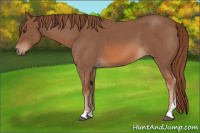 Horse Color:Red Roan Tobiano 