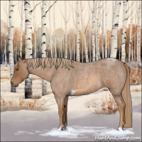 Horse Color:Red Roan Tobiano 