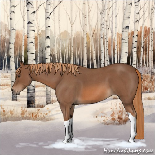 Horse Color:Red Roan Tobiano 