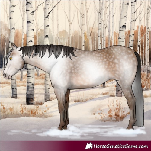 Horse Color:Gray Amber Champagne 