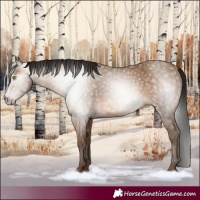 Horse Color:Gray Amber Champagne 