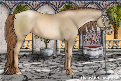 Horse Color:Smoky Black Pearl 