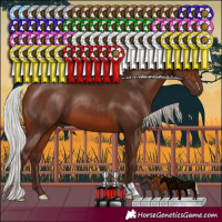 Horse Color:Silver Brown 