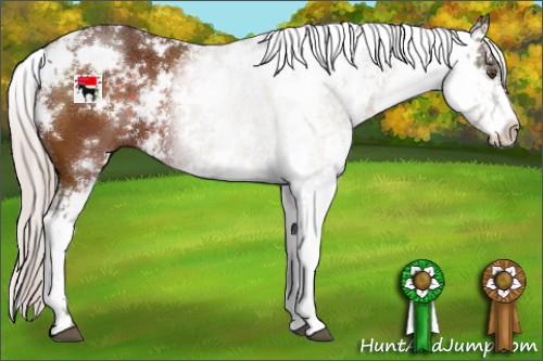 Horse Color:Silver Brown Sabino 