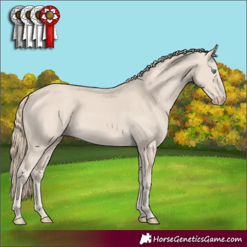 Horse Color:Smoky Creme 